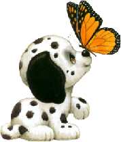 a dalmatian puppy with a butterfly 
